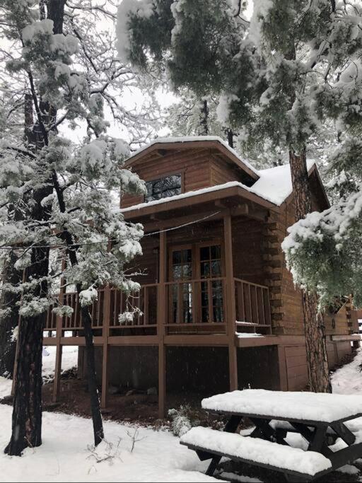 Forest Cabin 2 Birds Nest Payson Exterior foto